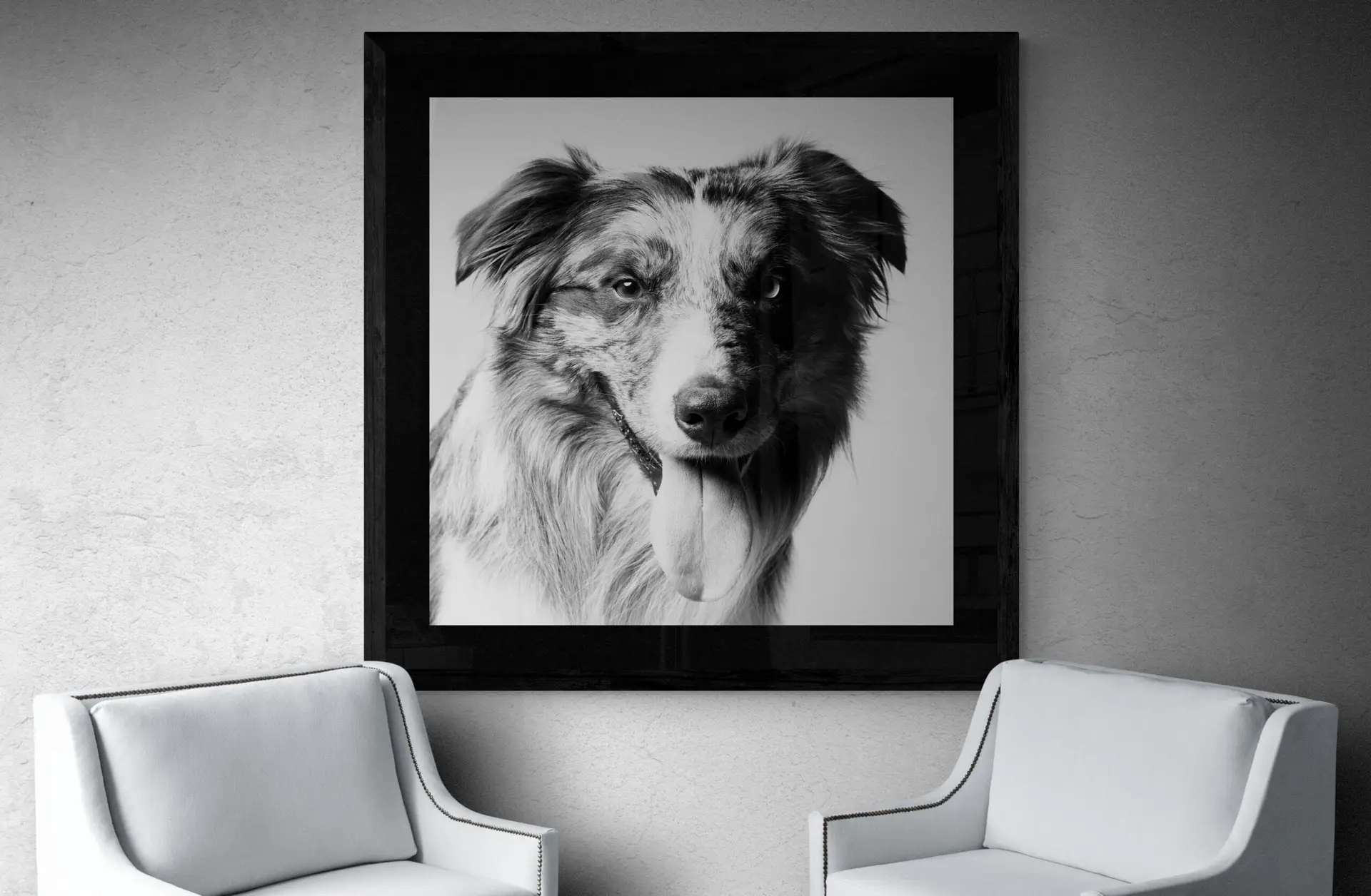 Pepper the sheepdog in black and white in a black wooden drame in a waiting room.