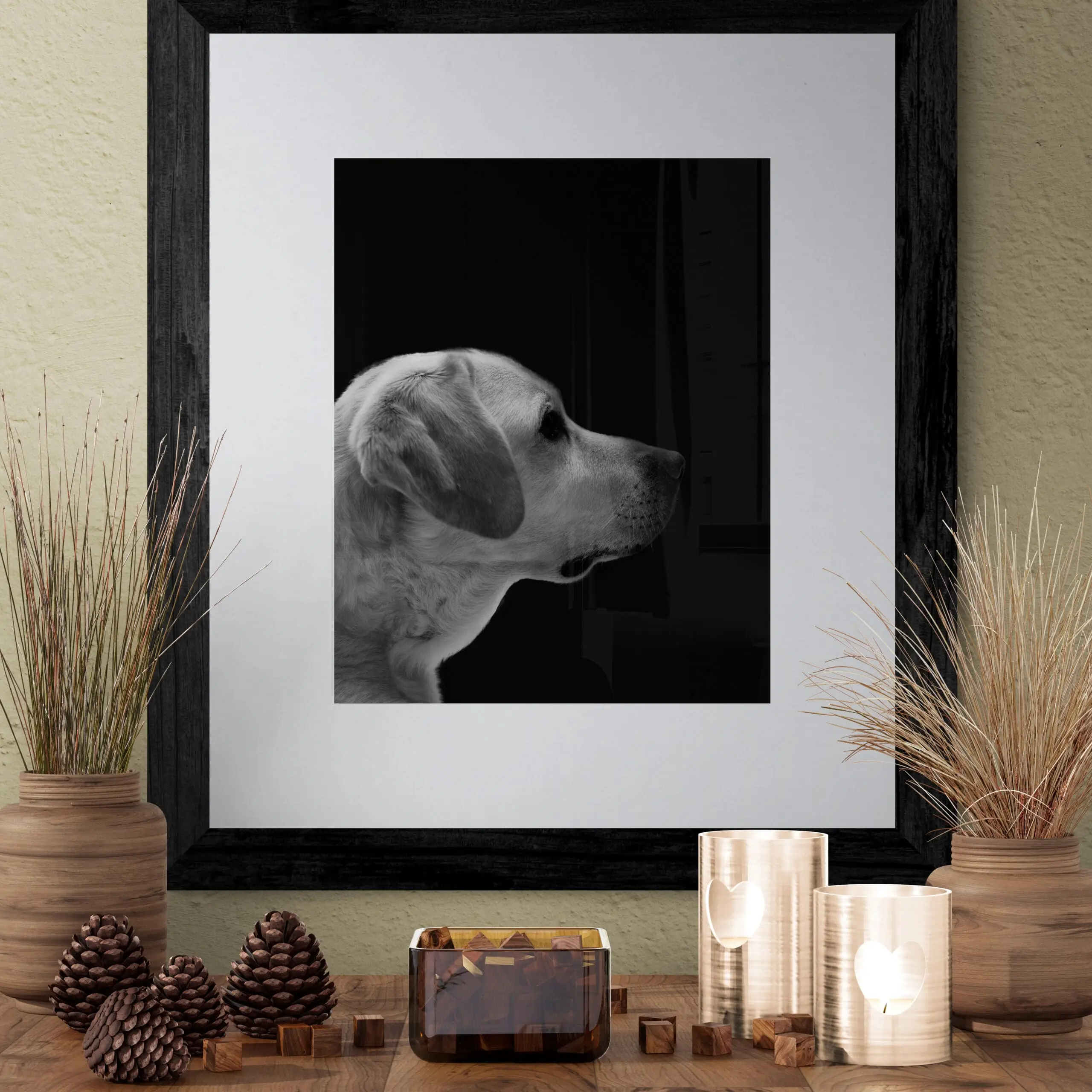 Mister Karu, a gorgeous blond labrador in a black and white close-up.